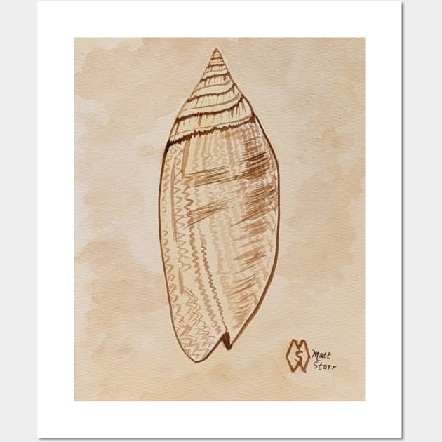 Lettered Olive Shell Wall Art by Matt Starr Fine Art